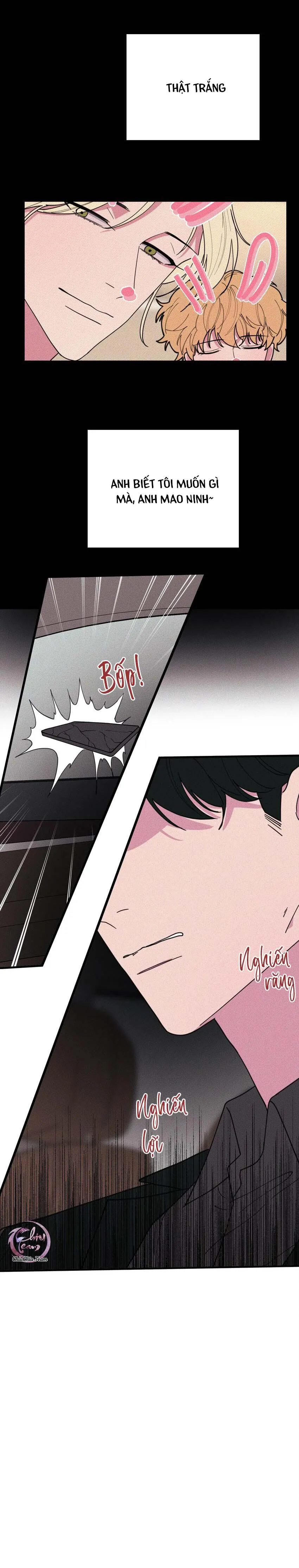 Hộp Bánh Quy Định Mệnh (END) Chapter 45 Trang 14