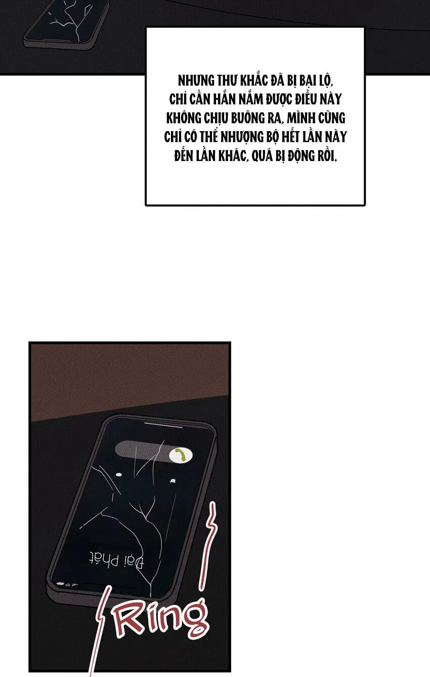 Hộp Bánh Quy Định Mệnh (END) Chapter 46 Trang 3