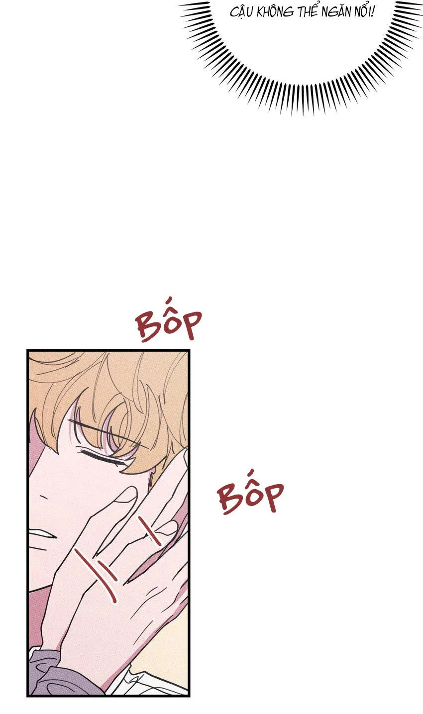 Hộp Bánh Quy Định Mệnh (END) Chapter 46 Trang 29