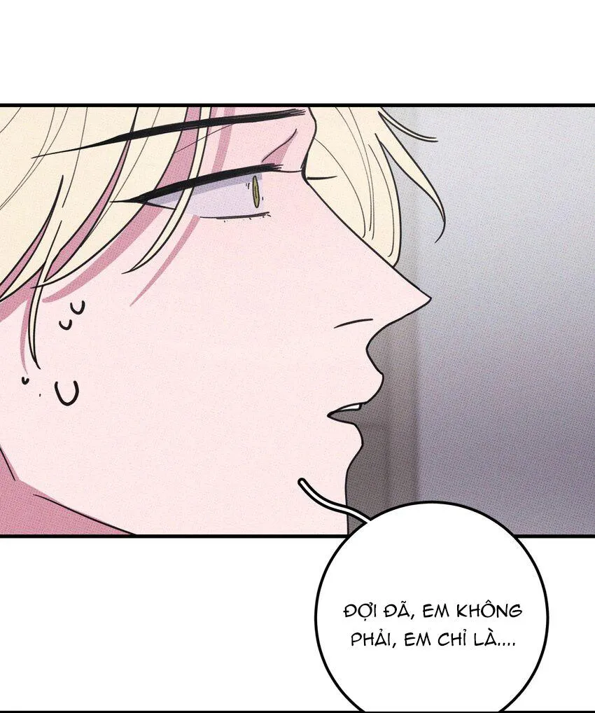 Hộp Bánh Quy Định Mệnh (END) Chapter 47 Trang 5