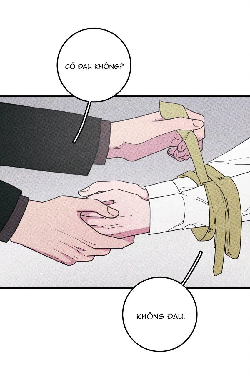 Hộp Bánh Quy Định Mệnh (END) Chapter 47 Trang 11