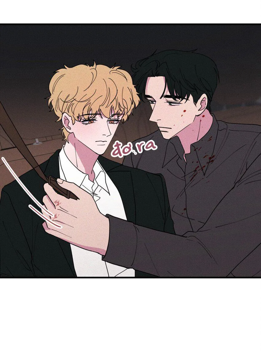 Hộp Bánh Quy Định Mệnh (END) Chapter 47 Trang 23