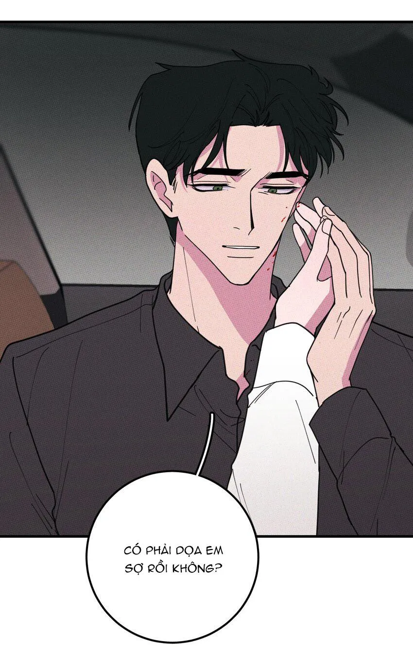 Hộp Bánh Quy Định Mệnh (END) Chapter 47 Trang 26