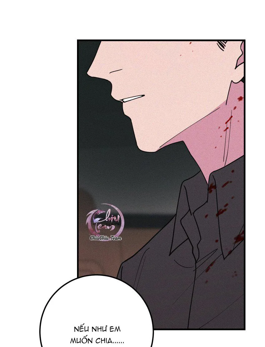 Hộp Bánh Quy Định Mệnh (END) Chapter 47 Trang 29