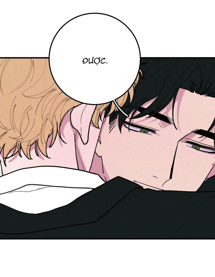 Hộp Bánh Quy Định Mệnh (END) Chapter 47 Trang 37