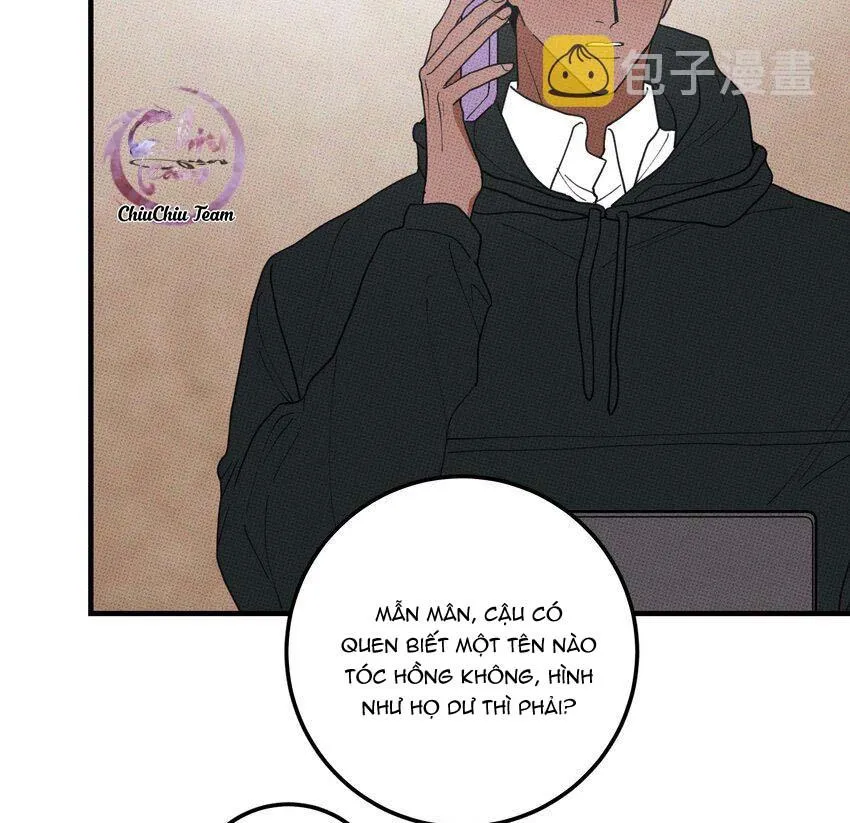 Hộp Bánh Quy Định Mệnh (END) Chapter 48 Trang 5