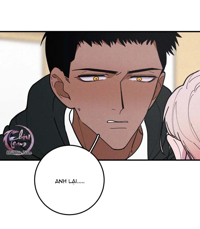 Hộp Bánh Quy Định Mệnh (END) Chapter 48 Trang 11