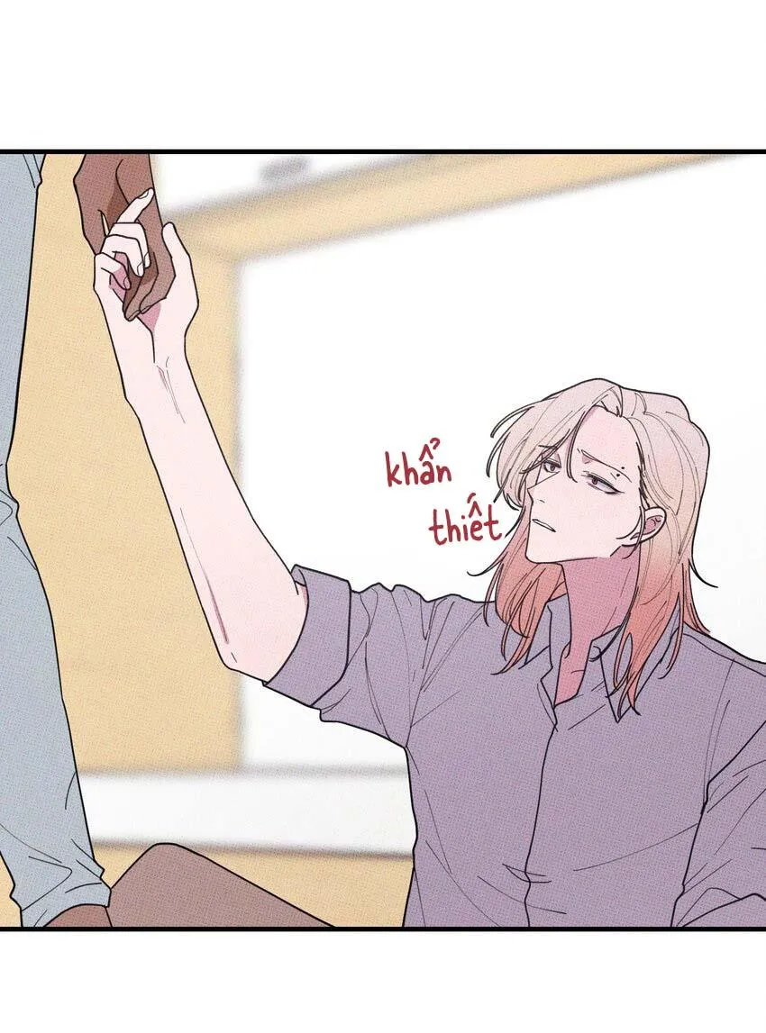 Hộp Bánh Quy Định Mệnh (END) Chapter 48 Trang 15