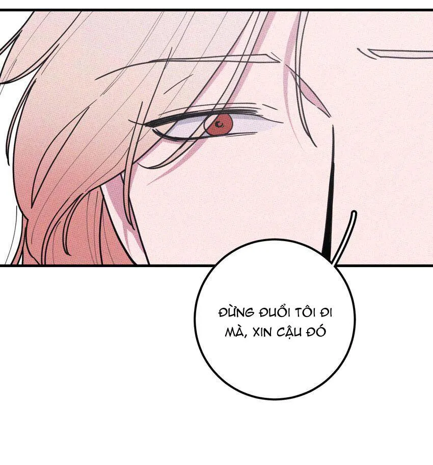 Hộp Bánh Quy Định Mệnh (END) Chapter 48 Trang 16