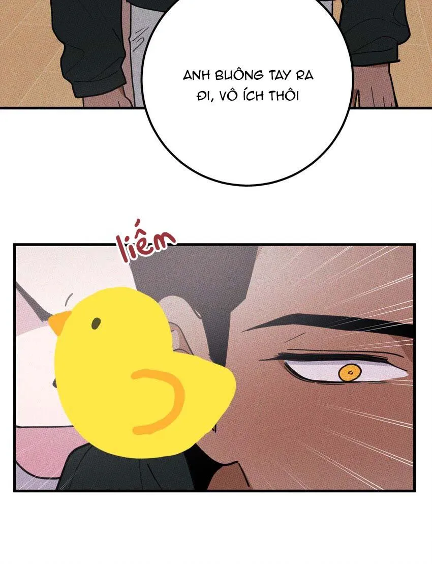 Hộp Bánh Quy Định Mệnh (END) Chapter 48 Trang 21