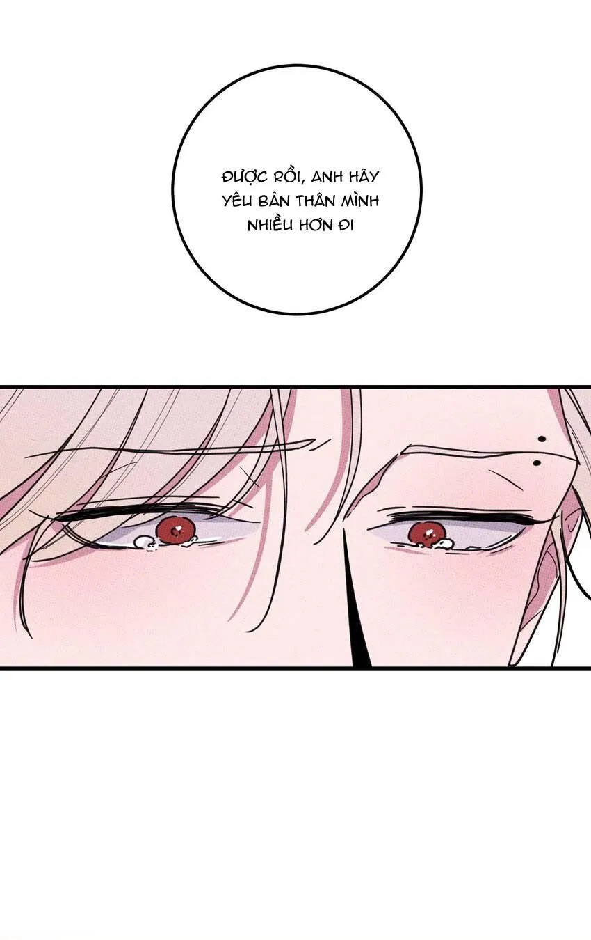 Hộp Bánh Quy Định Mệnh (END) Chapter 48 Trang 31