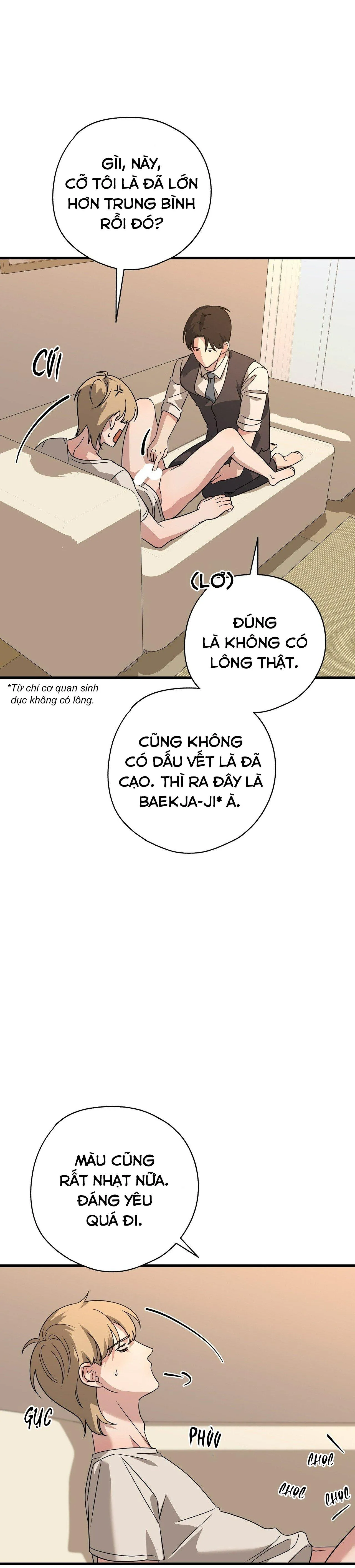 HỢP ĐỒNG KẸO Chapter 8 Trang 27