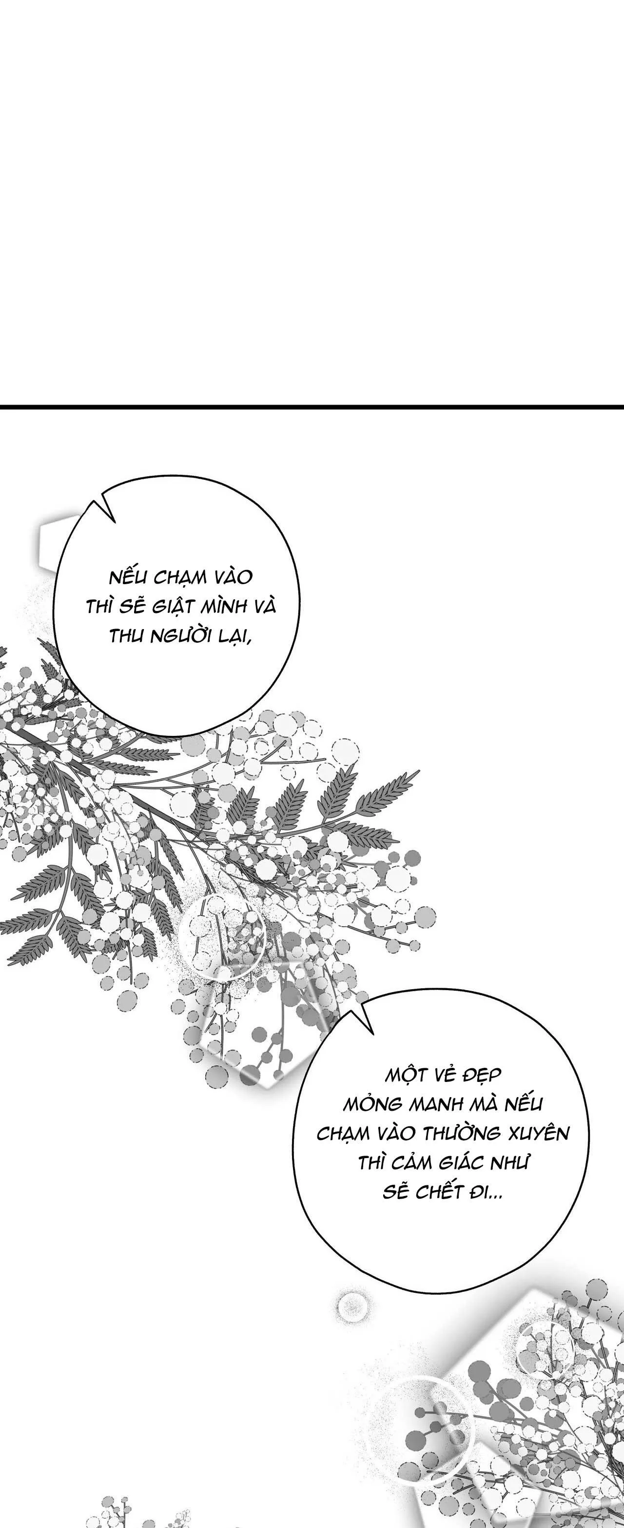 HỢP ĐỒNG KẸO NGỌT Chapter 21 Trang 31