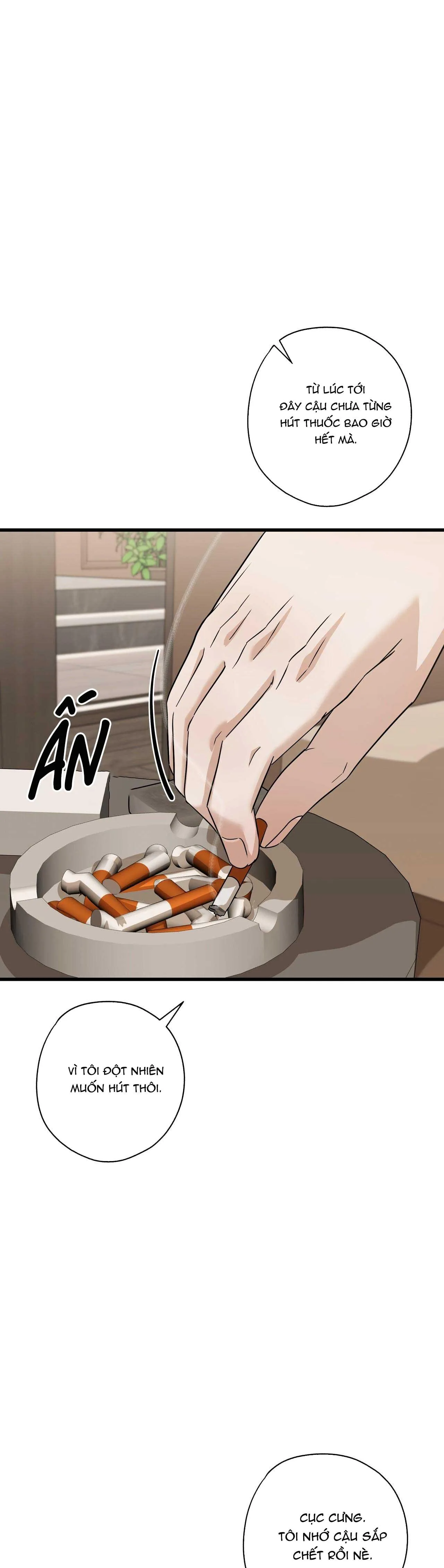 HỢP ĐỒNG KẸO NGỌT Chapter 32 Trang 13