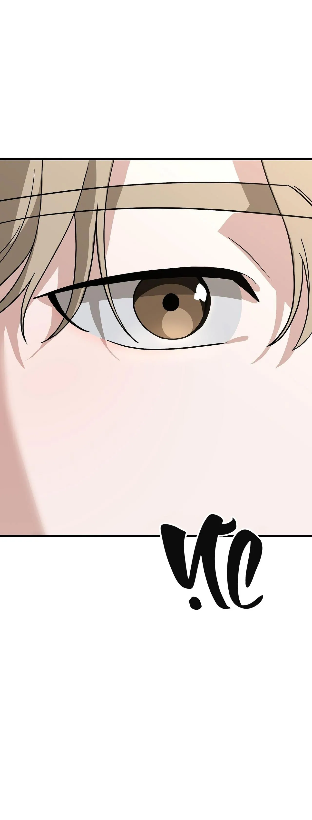 HỢP ĐỒNG KẸO NGỌT Chapter 43 Trang 12