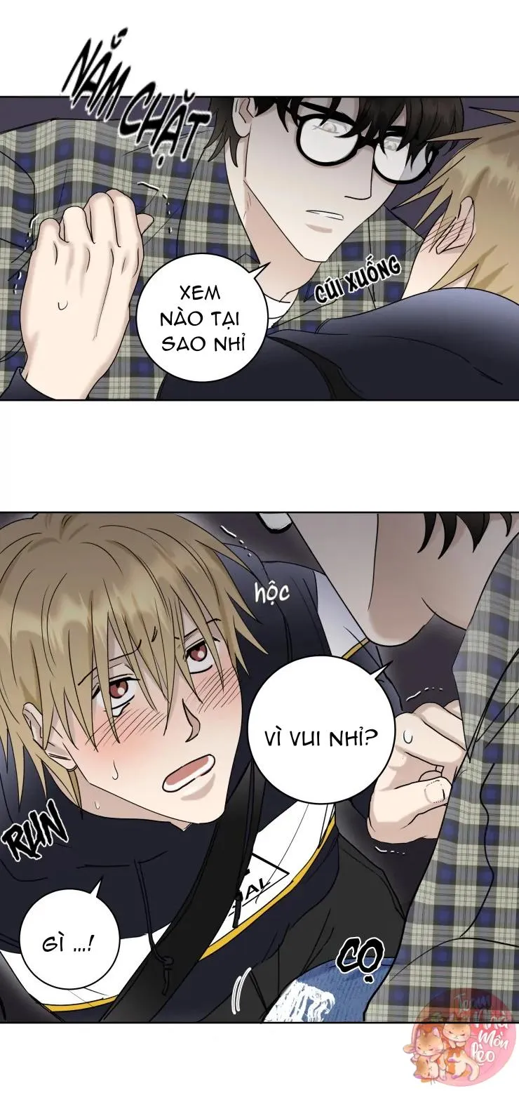 Hợp Đồng Quan Hệ Chapter 14 Trang 21