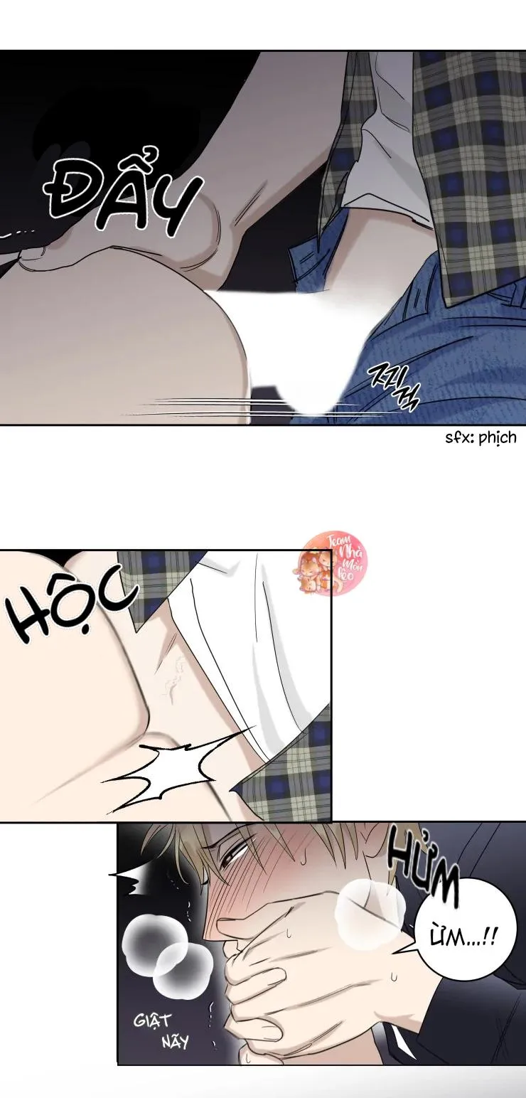 Hợp Đồng Quan Hệ Chapter 15 Trang 3