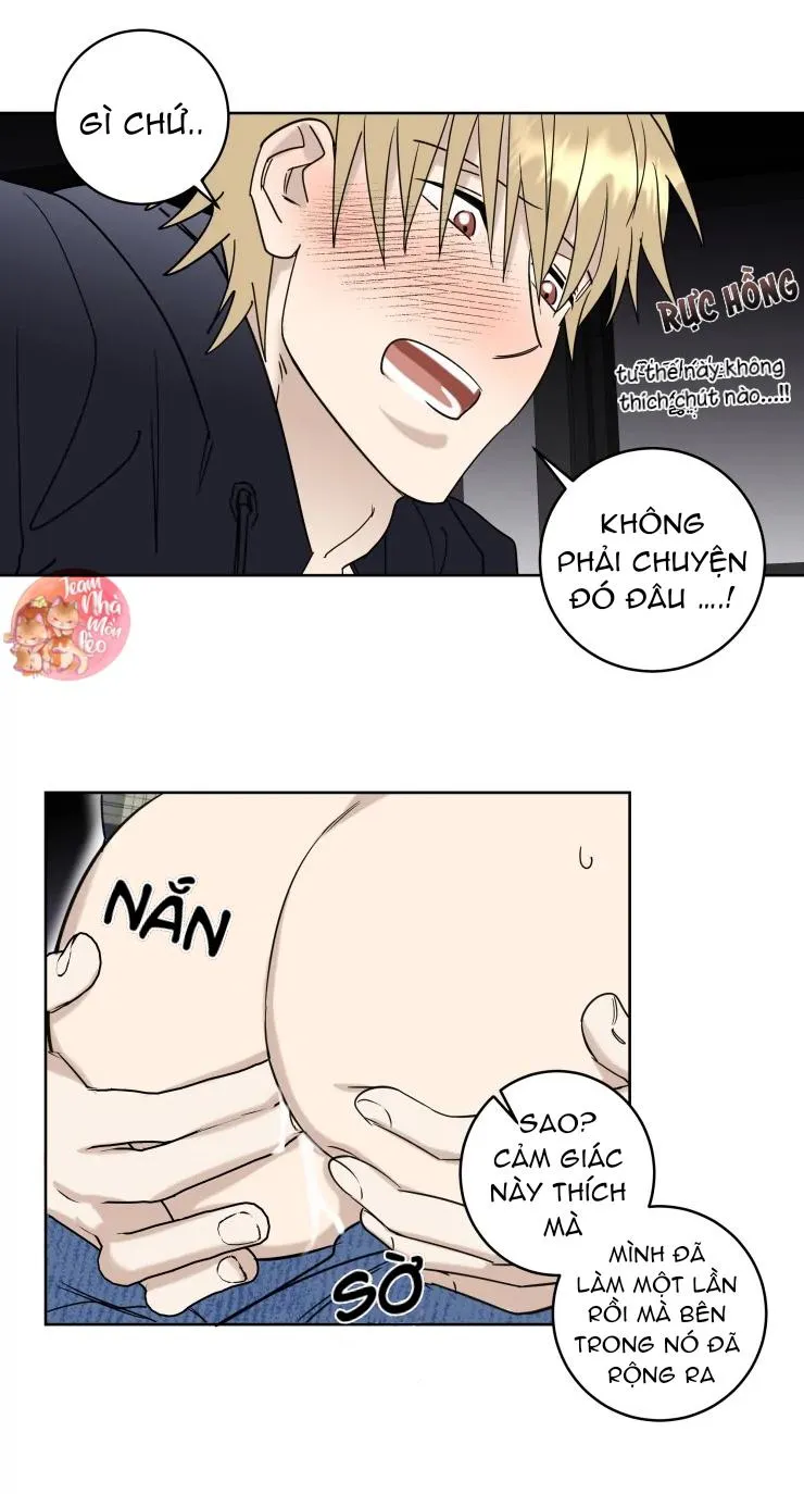 Hợp Đồng Quan Hệ Chapter 15 Trang 11