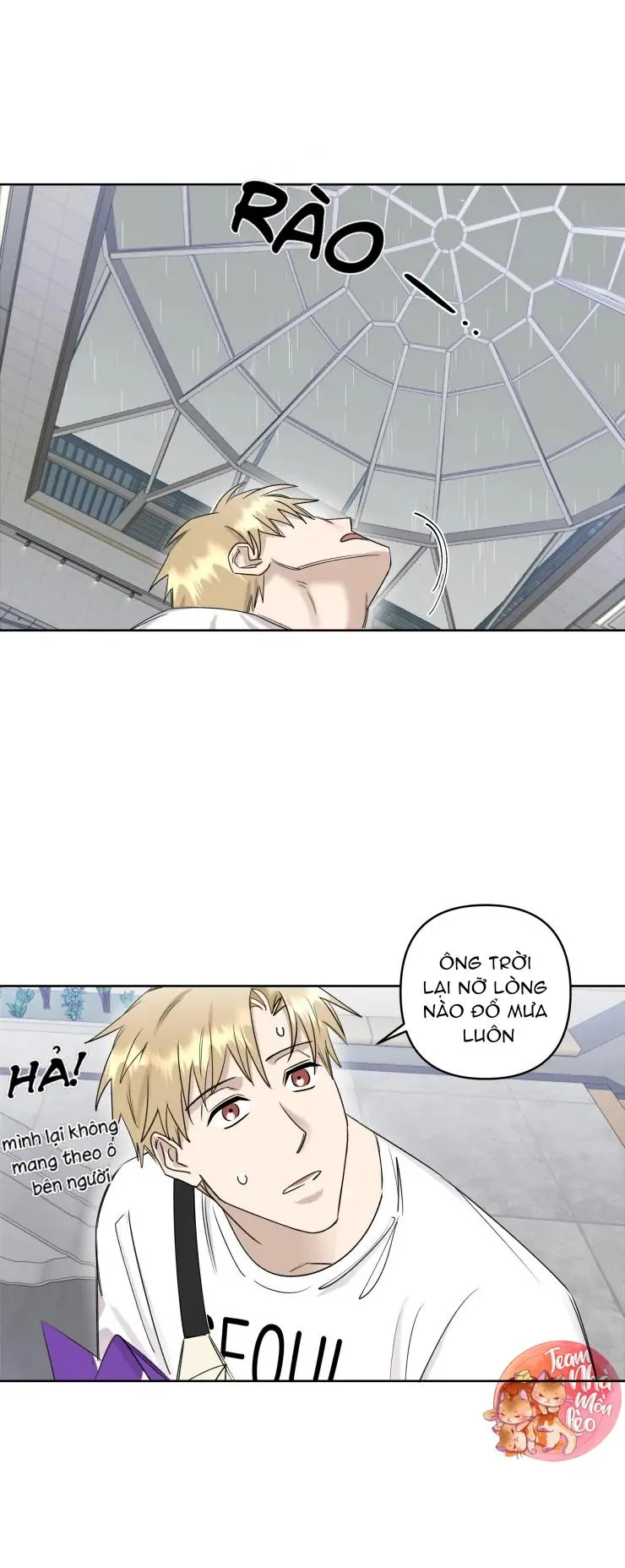 Hợp Đồng Quan Hệ Chapter 17 Trang 17