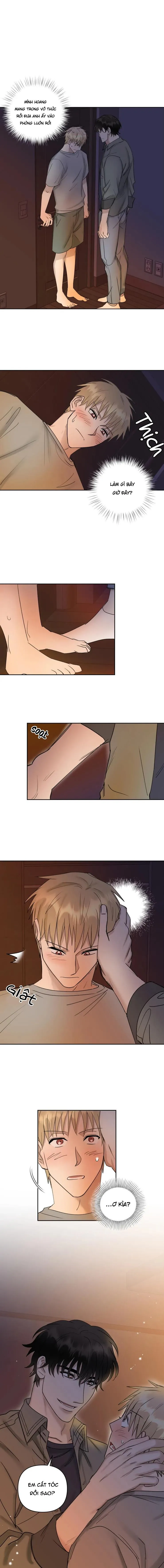 Hợp Đồng Quan Hệ Chapter 18 Trang 8