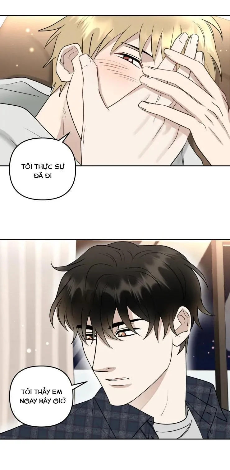 Hợp Đồng Quan Hệ Chapter 22 Trang 17