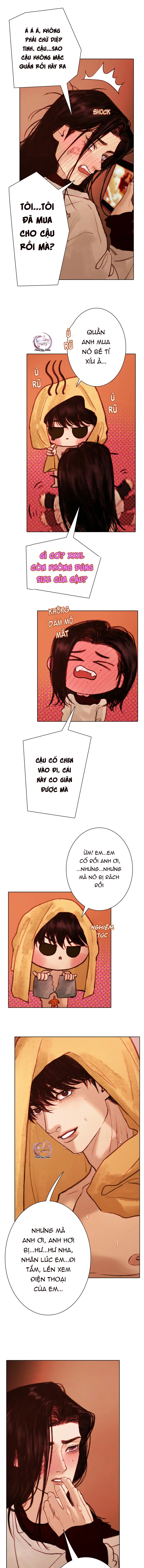 Hừng Đông Chapter 13 Trang 11