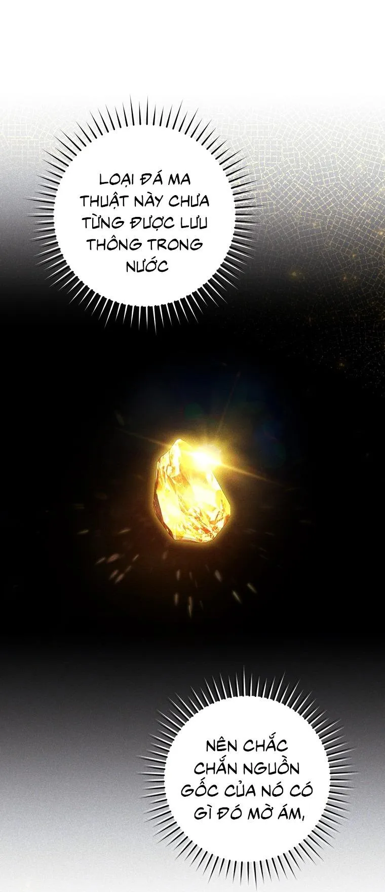 Hunter muốn sống một cách yên bình Chapter 10 Trang 14