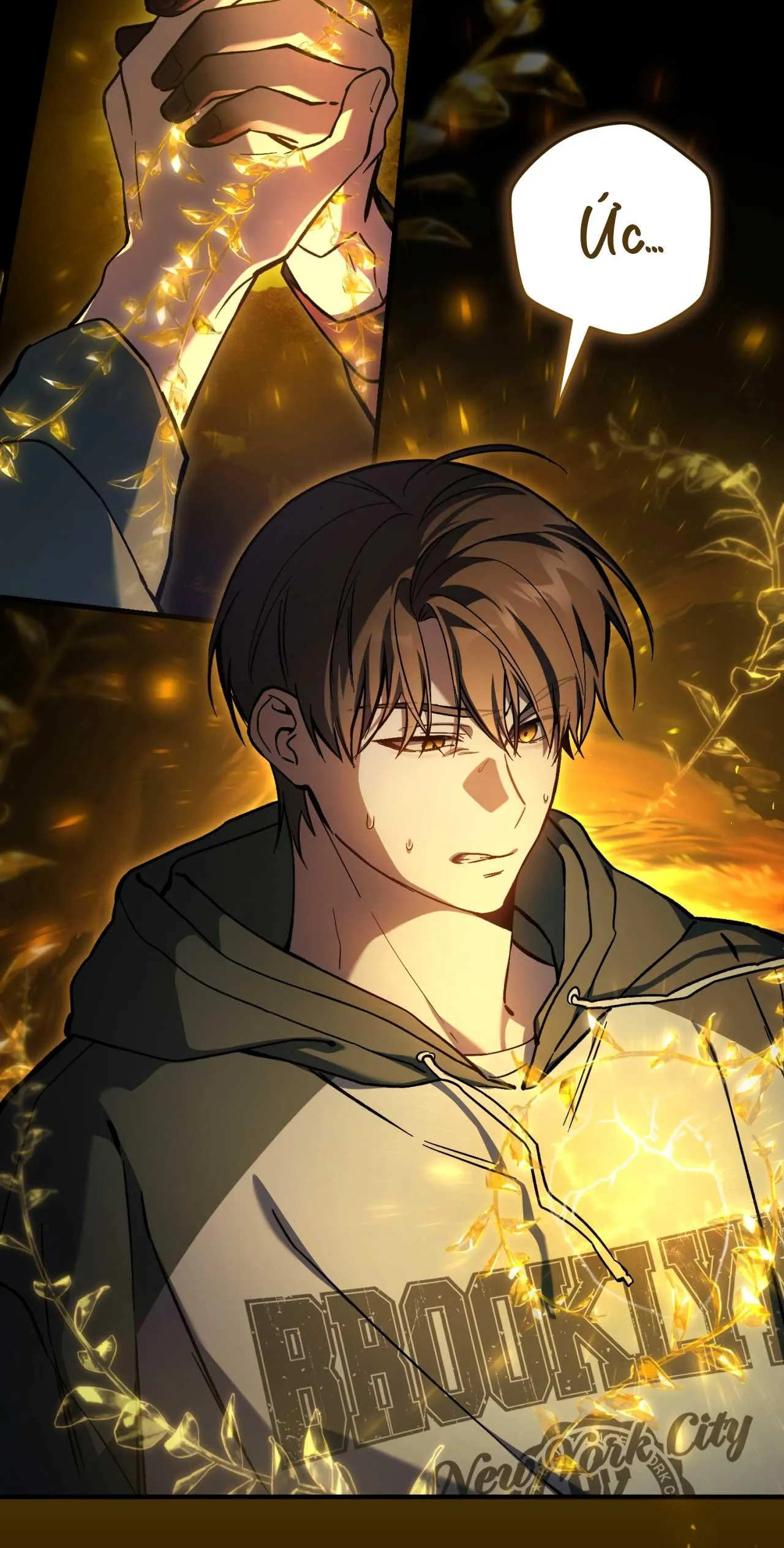 Hunter muốn sống một cách yên bình Chapter 16 Trang 19