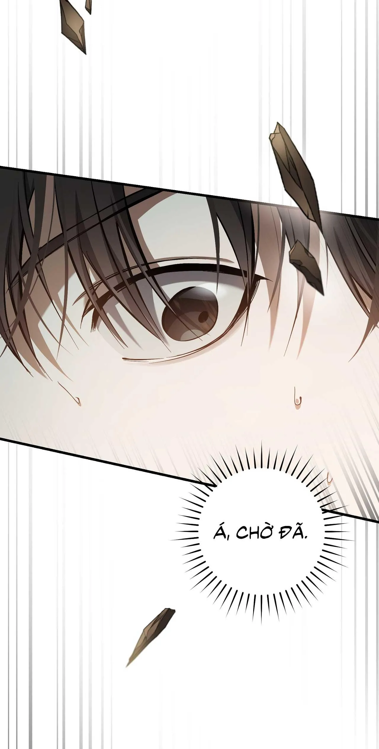 Hunter muốn sống một cách yên bình Chapter 18 Trang 31