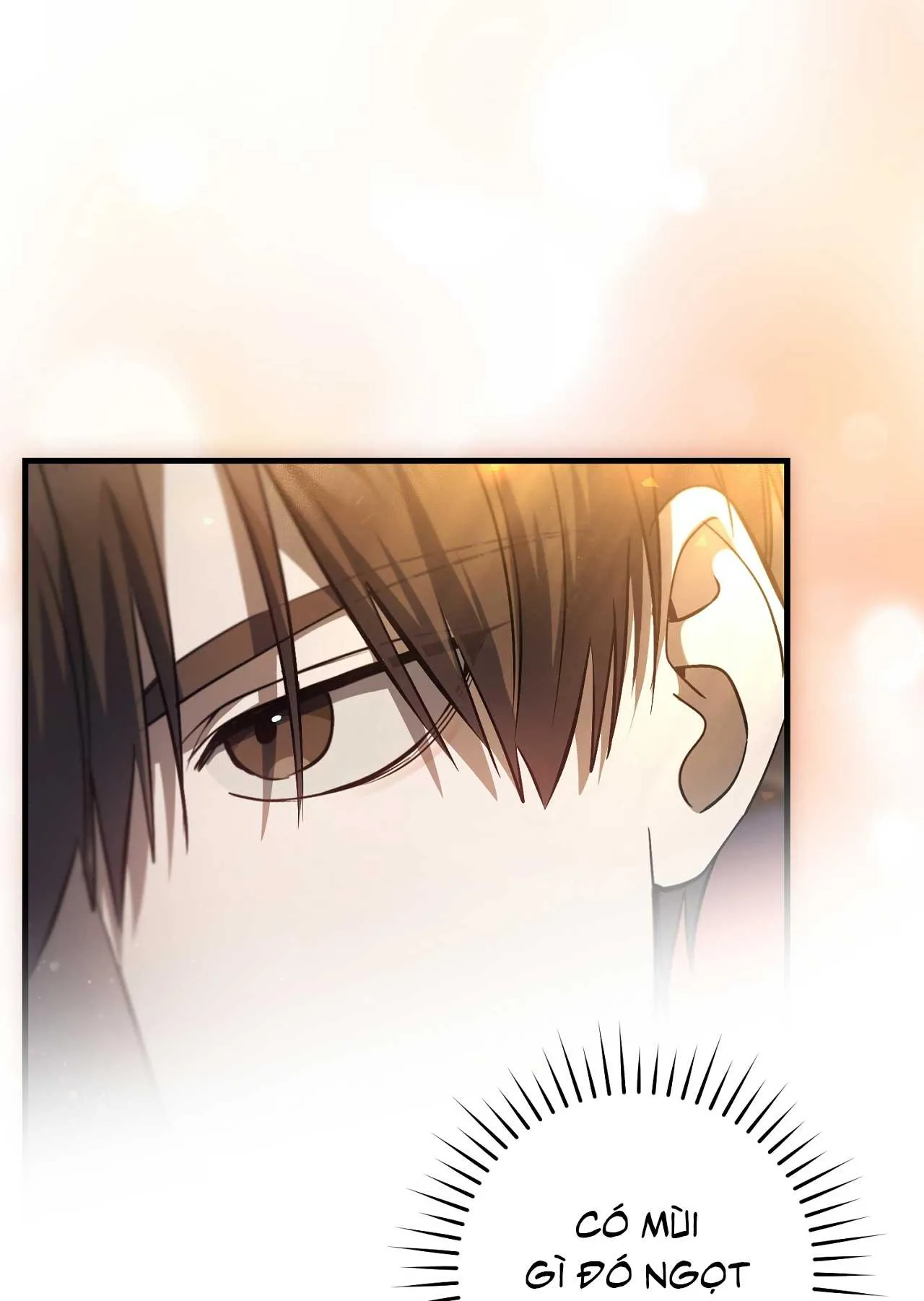 Hunter muốn sống một cách yên bình Chapter 20 Trang 74