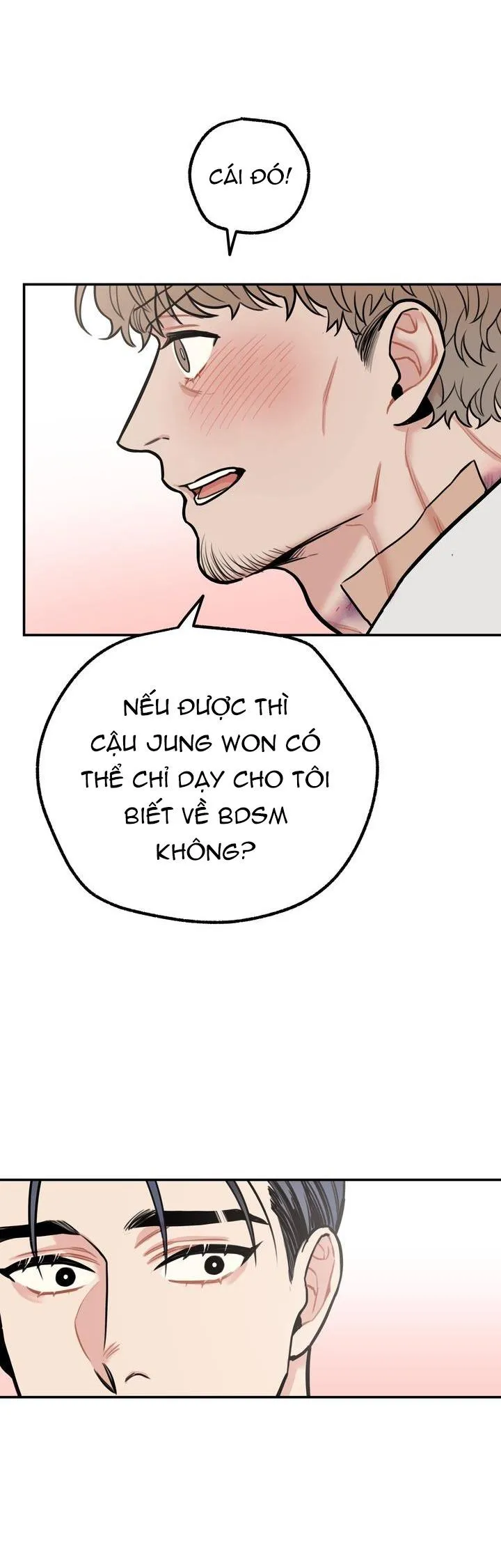 HƯỚNG DẪN BDSM CƠ BẢN Chapter 3 Trang 13