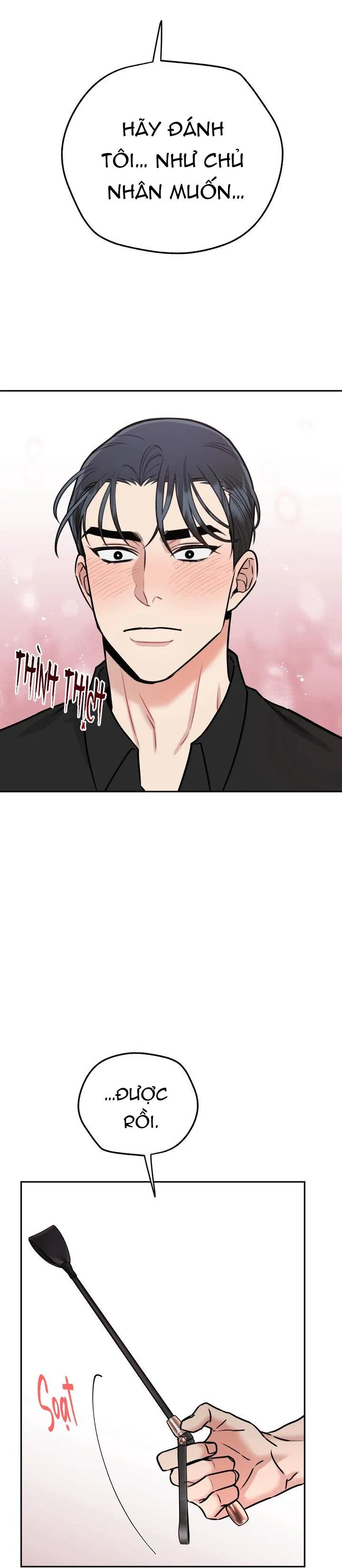 HƯỚNG DẪN BDSM CƠ BẢN Chapter 8 Trang 21