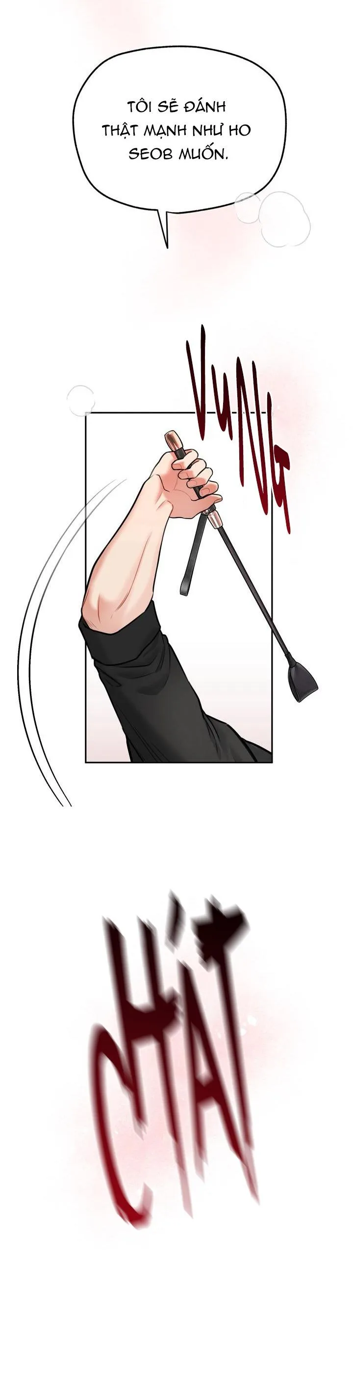 HƯỚNG DẪN BDSM CƠ BẢN Chapter 8 Trang 27