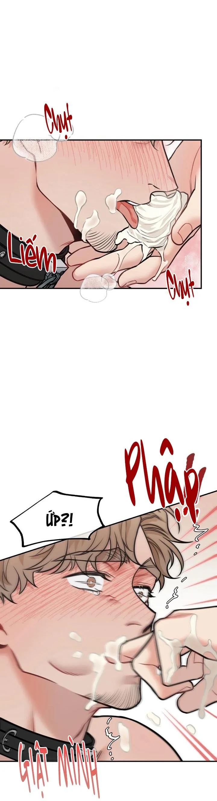 HƯỚNG DẪN BDSM CƠ BẢN Chapter 12 Trang 39