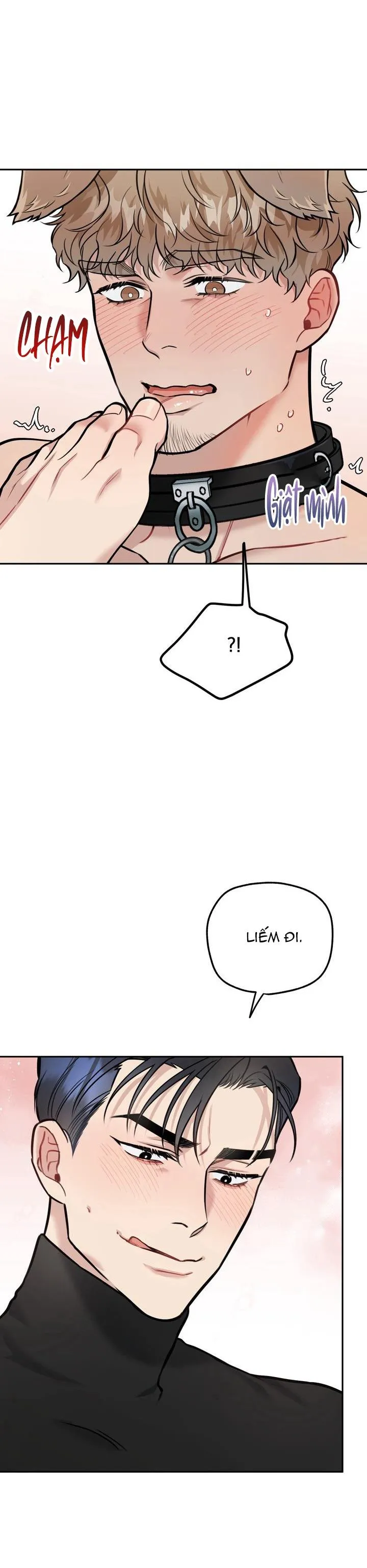 HƯỚNG DẪN BDSM CƠ BẢN Chapter 13 Trang 12