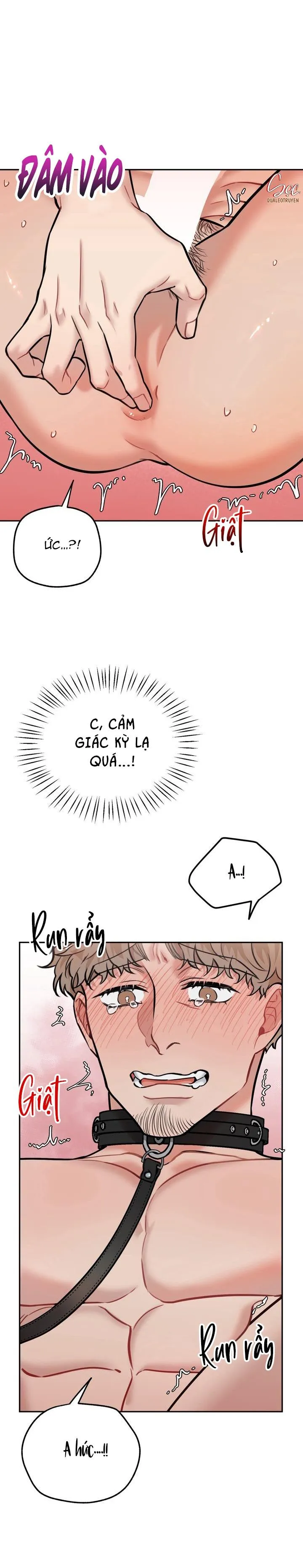 HƯỚNG DẪN BDSM CƠ BẢN Chapter 13 Trang 20