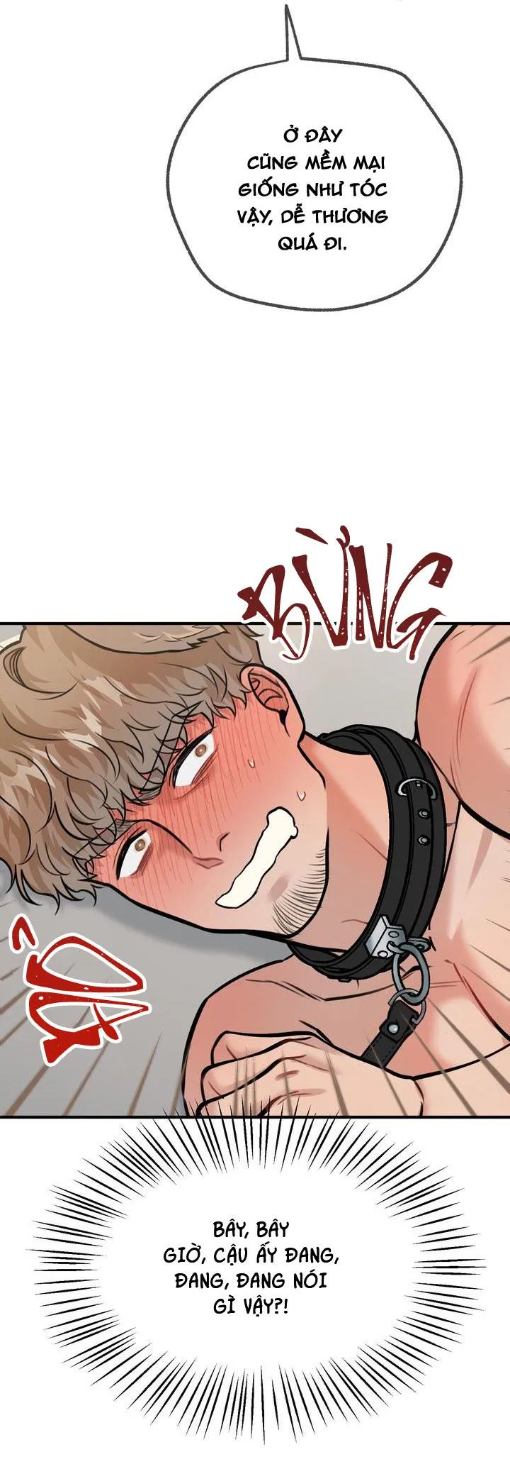 HƯỚNG DẪN BDSM CƠ BẢN Chapter 14 Trang 21