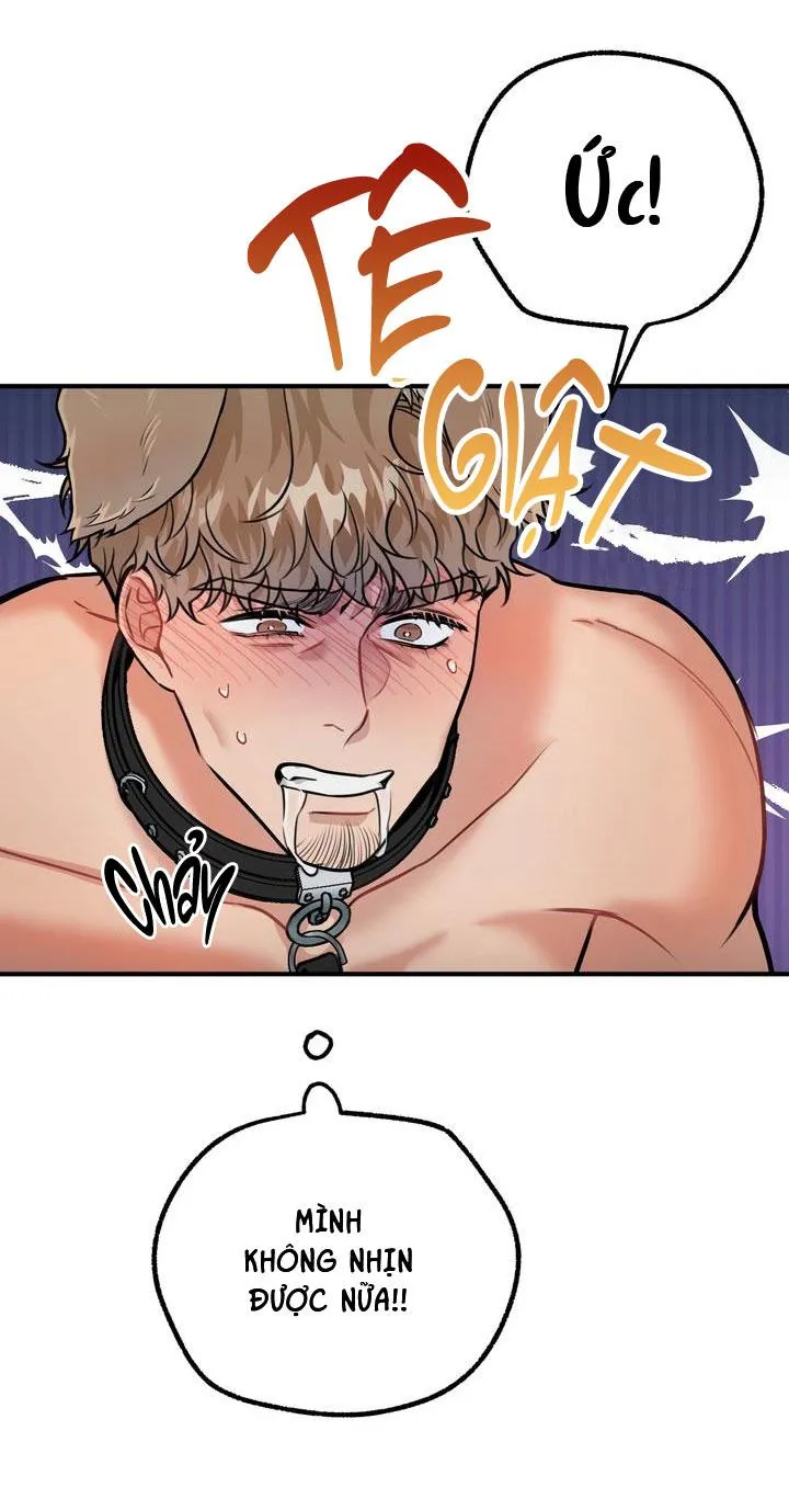 HƯỚNG DẪN BDSM CƠ BẢN Chapter 14 Trang 29