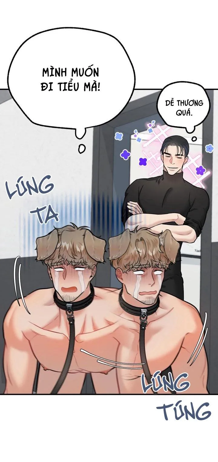 HƯỚNG DẪN BDSM CƠ BẢN Chapter 14 Trang 44