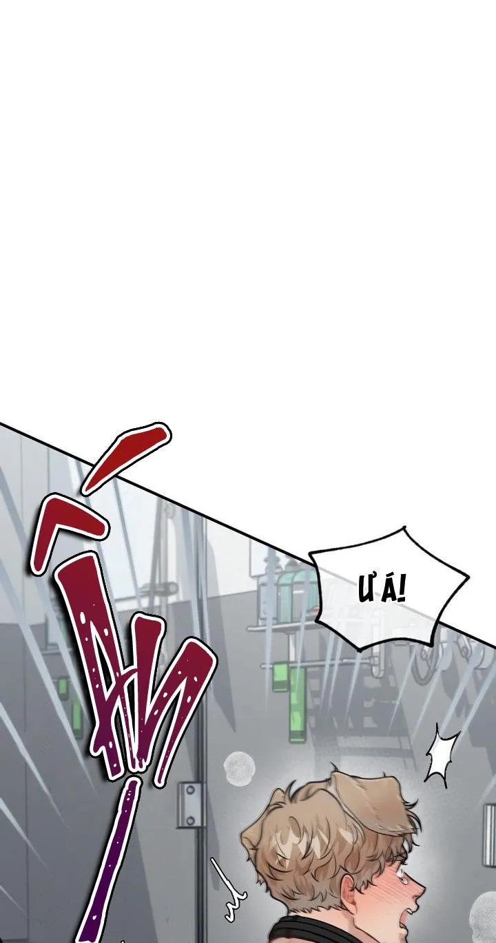 HƯỚNG DẪN BDSM CƠ BẢN Chapter 14 Trang 56