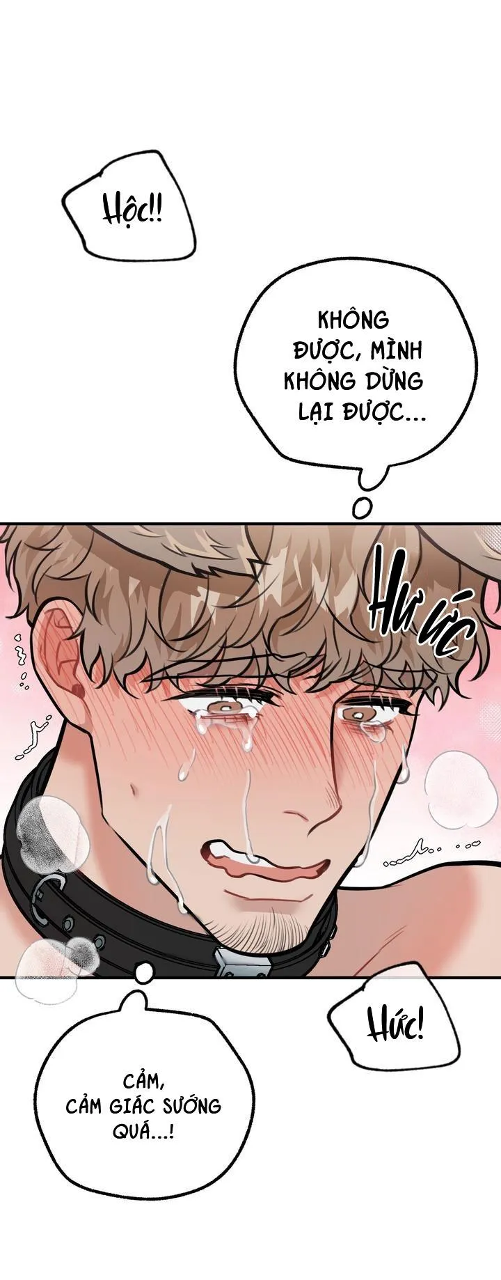 HƯỚNG DẪN BDSM CƠ BẢN Chapter 14 Trang 65