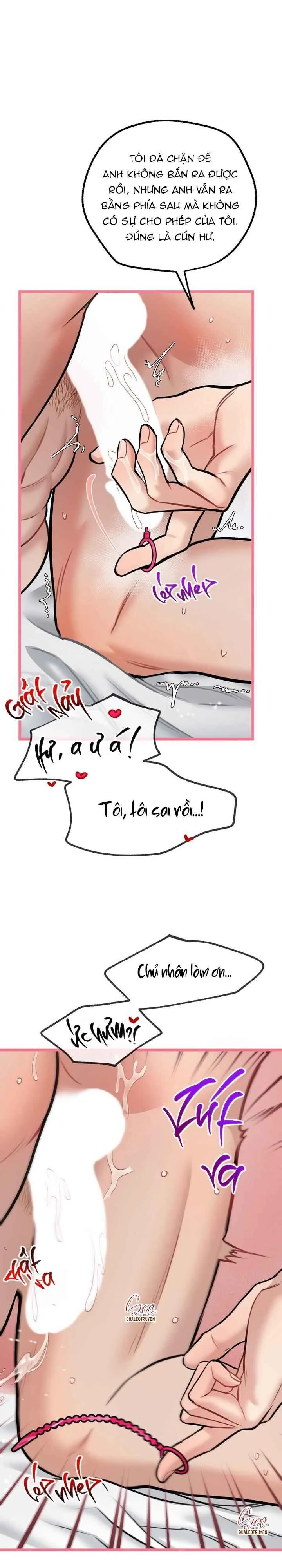 HƯỚNG DẪN BDSM CƠ BẢN Chapter 15 Trang 3