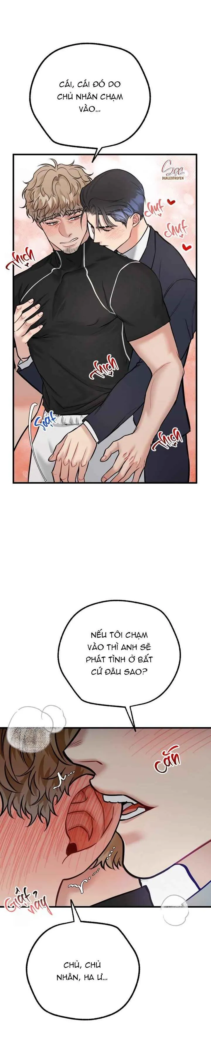 HƯỚNG DẪN BDSM CƠ BẢN Chapter 15 Trang 19