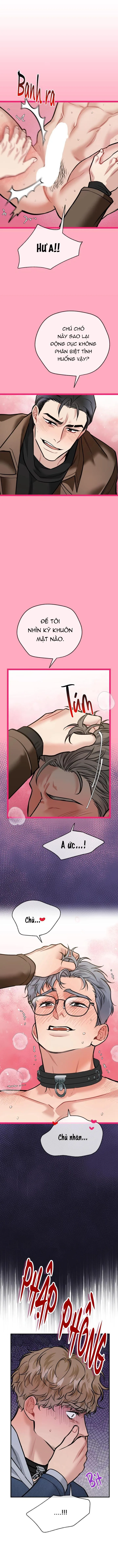 HƯỚNG DẪN BDSM CƠ BẢN Chapter 17 Trang 13