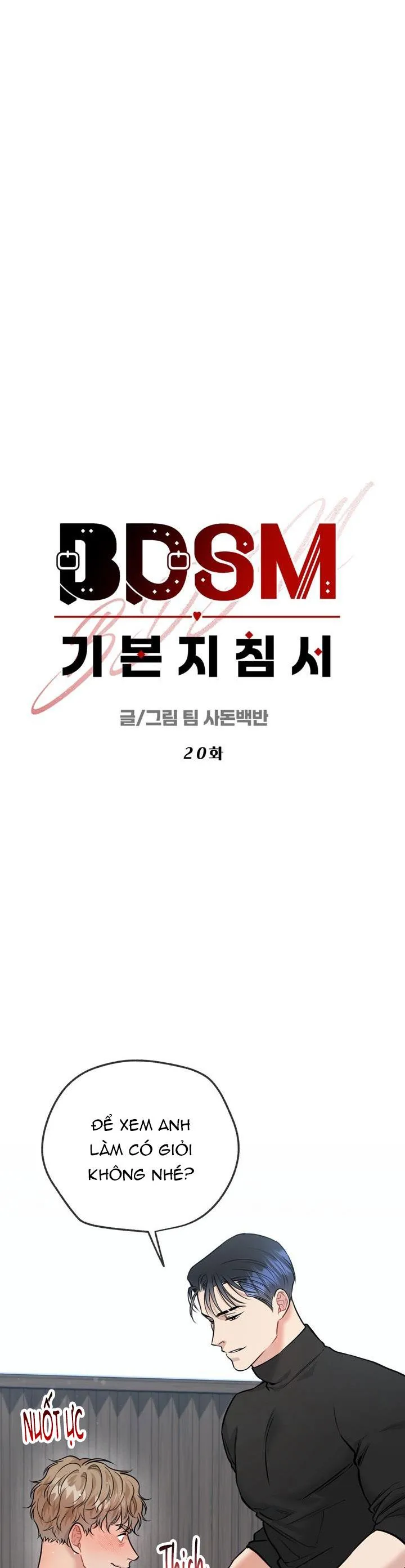 HƯỚNG DẪN BDSM CƠ BẢN Chapter 20 Trang 13