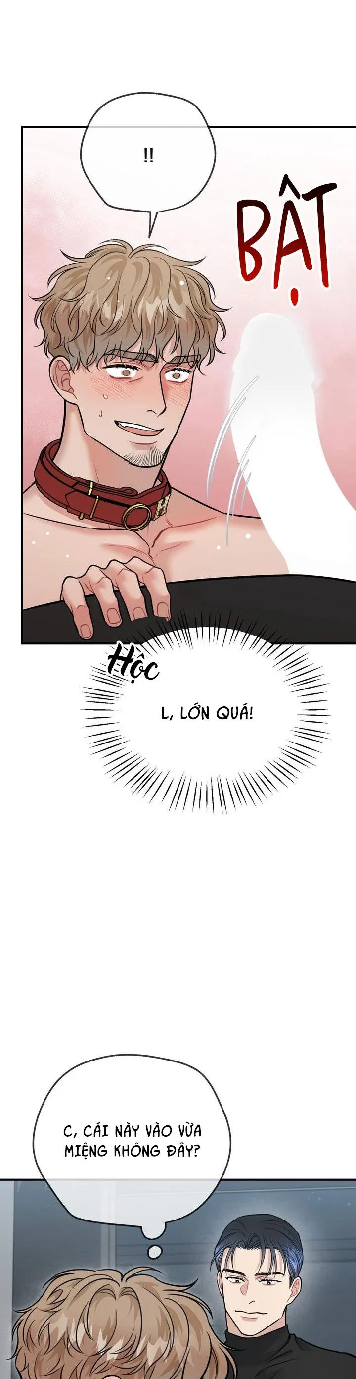 HƯỚNG DẪN BDSM CƠ BẢN Chapter 20 Trang 15