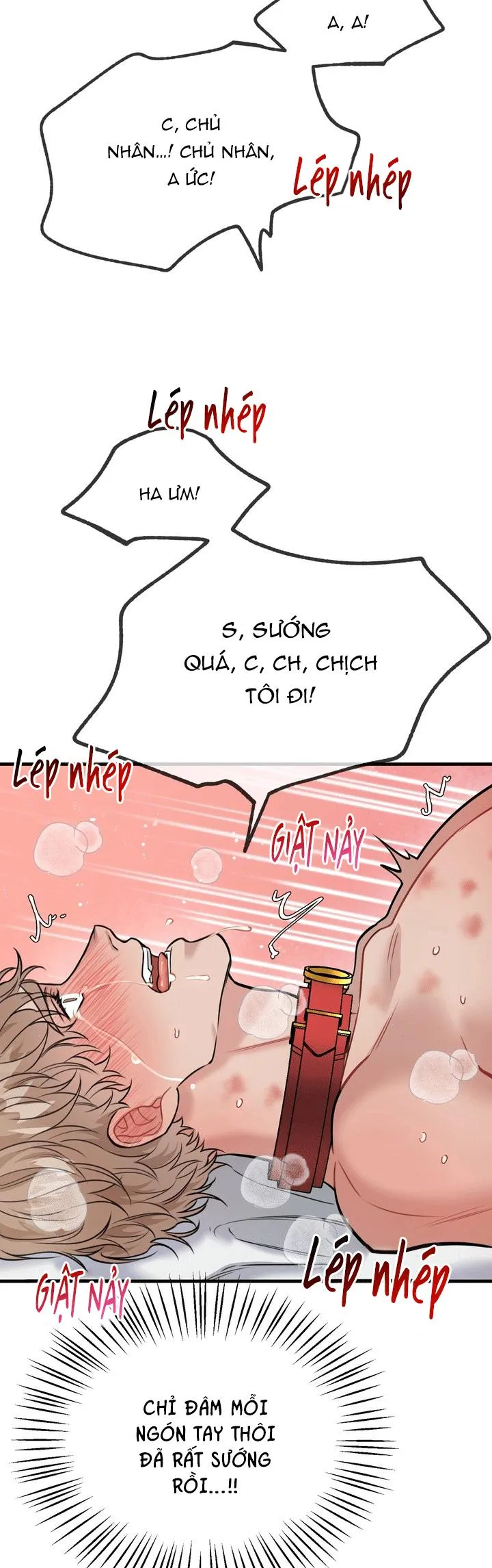 HƯỚNG DẪN BDSM CƠ BẢN Chapter 21 Trang 13