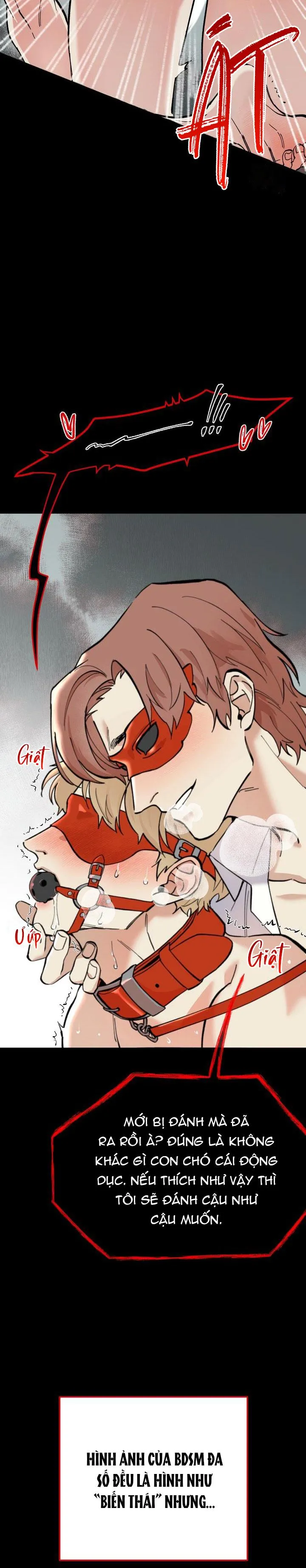 HƯỚNG DẪN BDSM CƠ BẢN Chapter 1 Trang 4