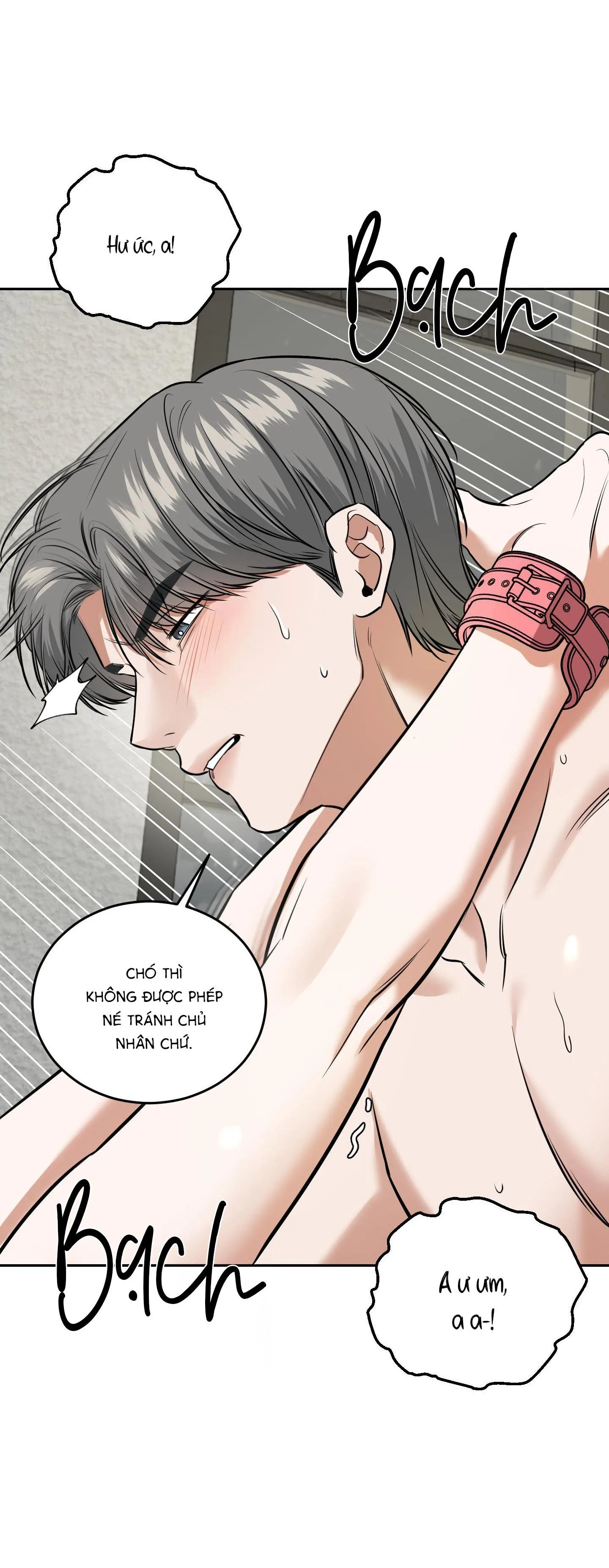 |DROP| Hưởng Lợi Chapter 16 Trang 46