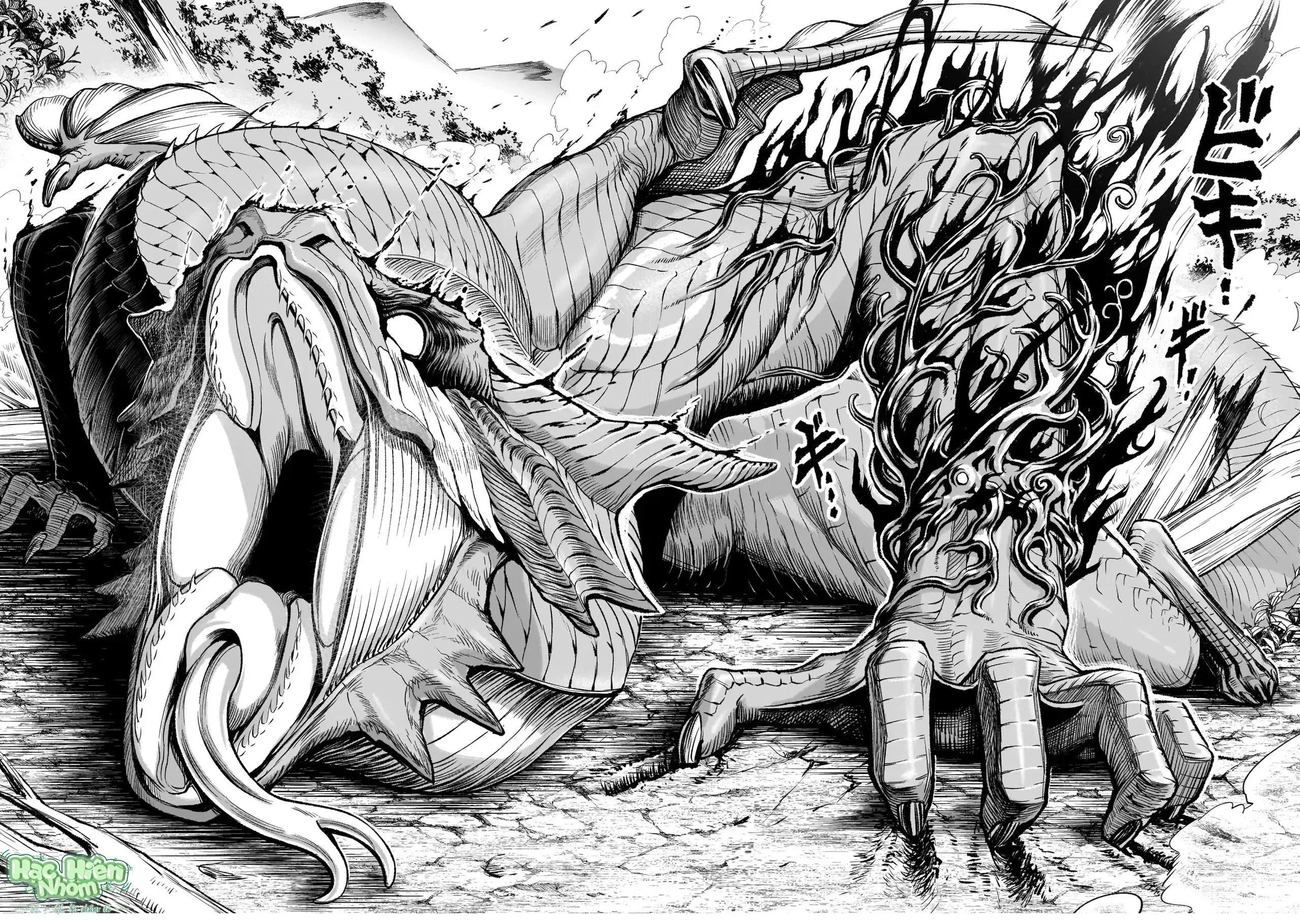 Ký Sự Rosengarten Chapter 14 Trang 45